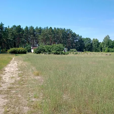 W Lesie Przy Stawie - Kameralna Impreza